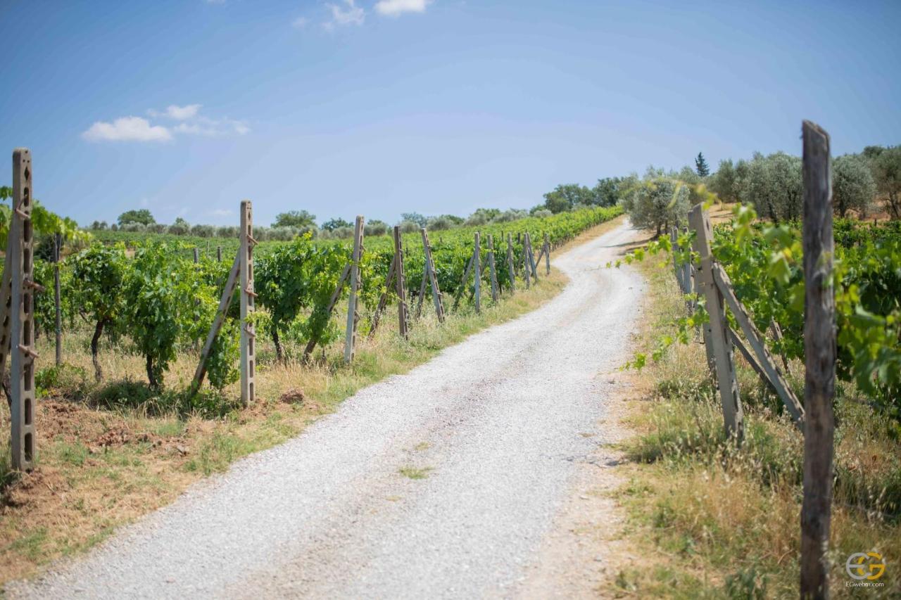 Terre Di Melazzano - Le Case Di Patrizia Греве-ин-Кьянти Экстерьер фото